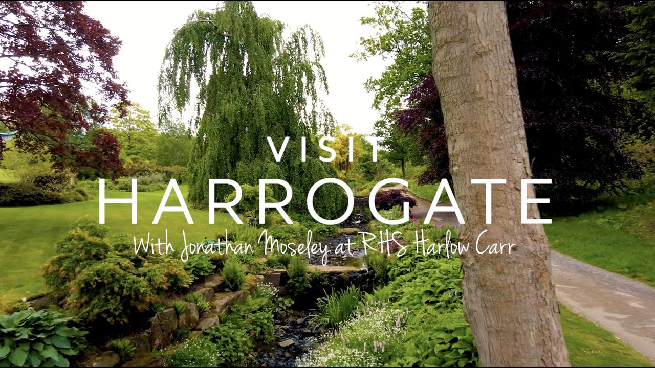 Visit Harrogate -  Jonathan Moseley at RHS Harlow Carr
