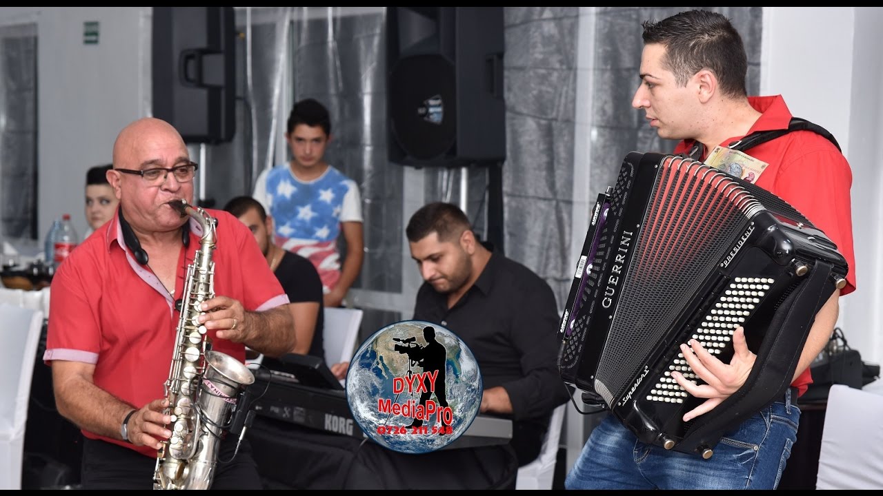 Ziva Dinulovic - Instrumentala Sarbeasca - Live 2016 - Nunta Ioana & Adi - La Patulele