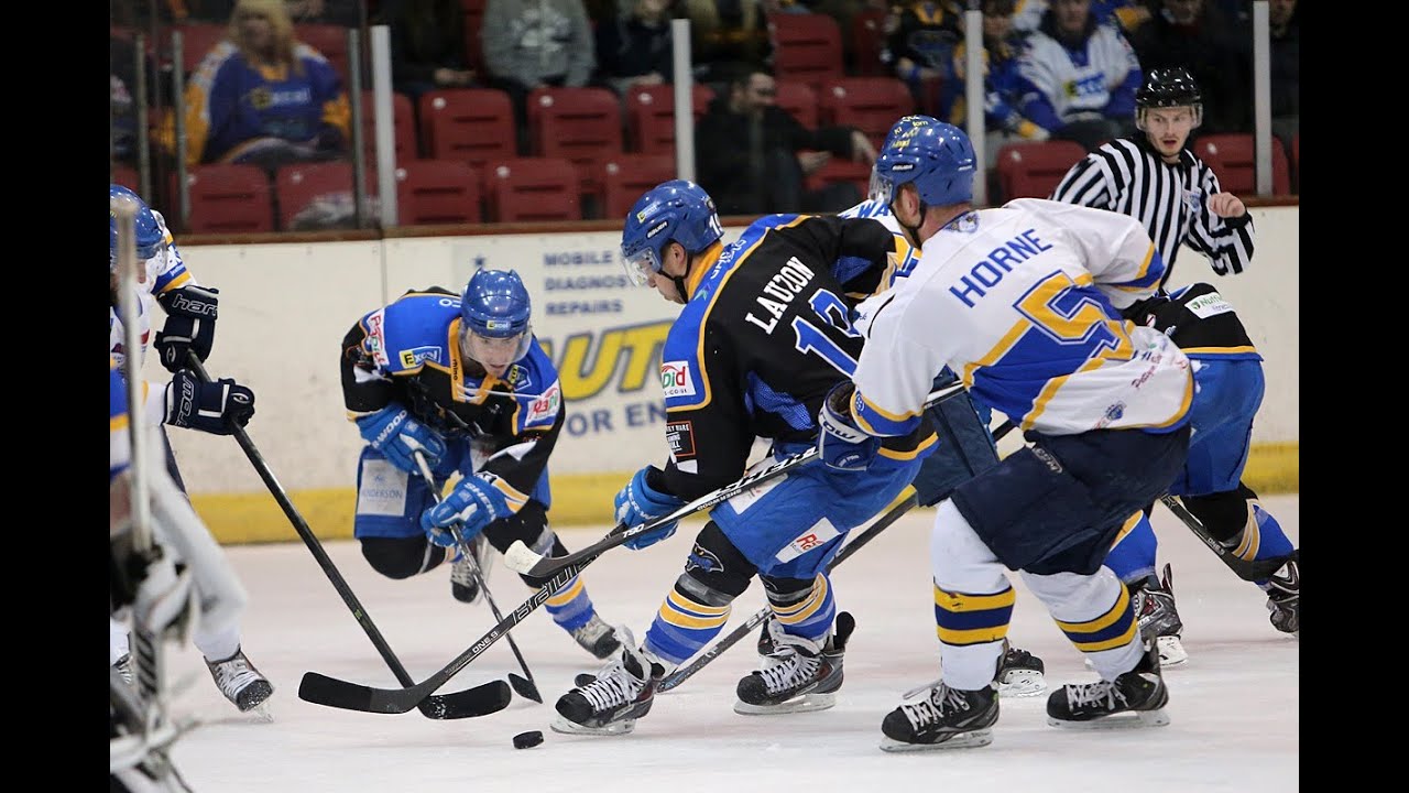 Hull Stingrays v Fife Flyers