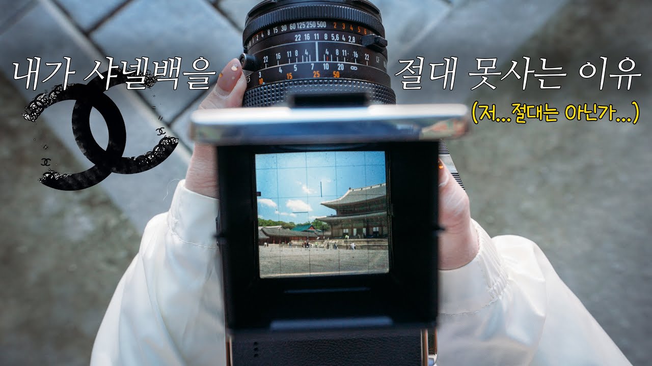 샤넬백 안 사고, 이 카메라를 구입한 이유 (핫셀블라드 503CX, 907X, CFV II 50C)