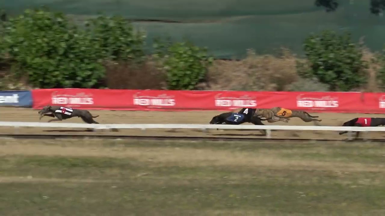 Race 5 Czech Sprint Derby Trial Stake - OR  275m