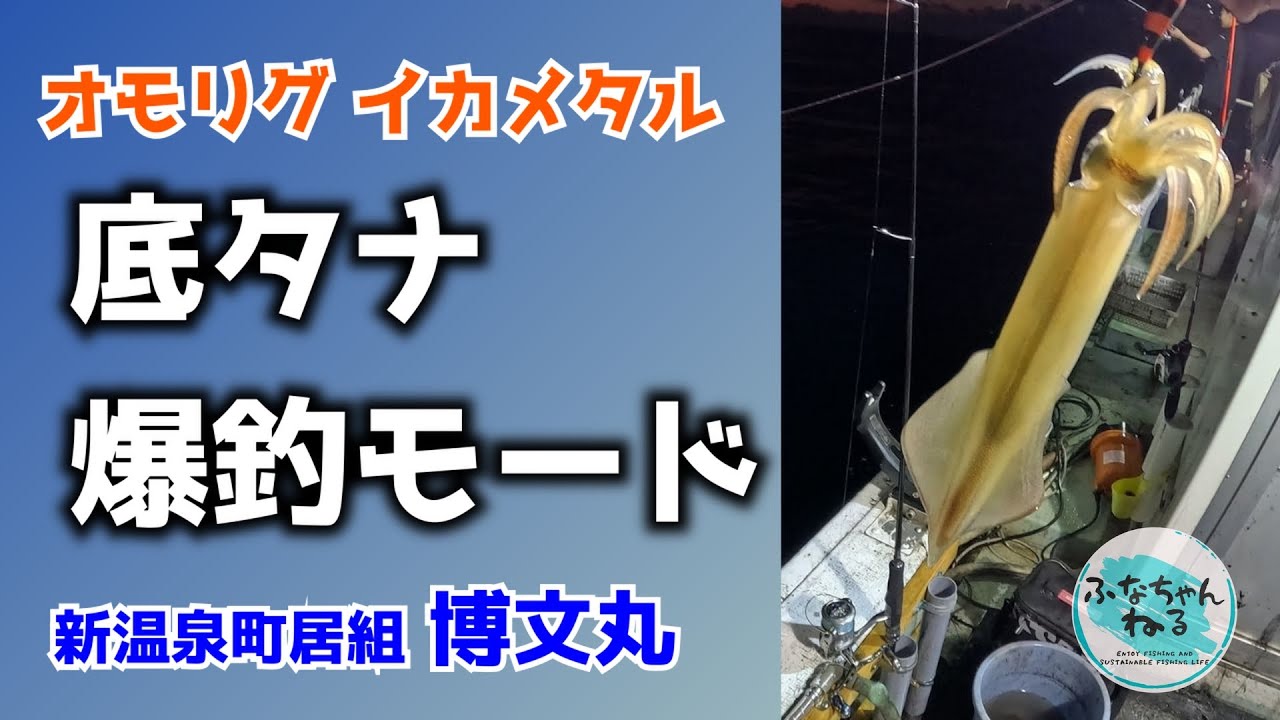 【イカメタル】タナは底！オモリグで白イカ連発