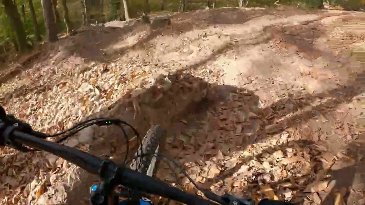 Wei&szlig;er Stein Trial & Die Lore & Kneibreche & Kronenburgtrail- Dossenheim Heidelberg November 2024