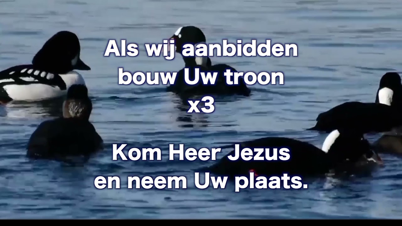 Opwekking 237 Jezus wij verhogen U
