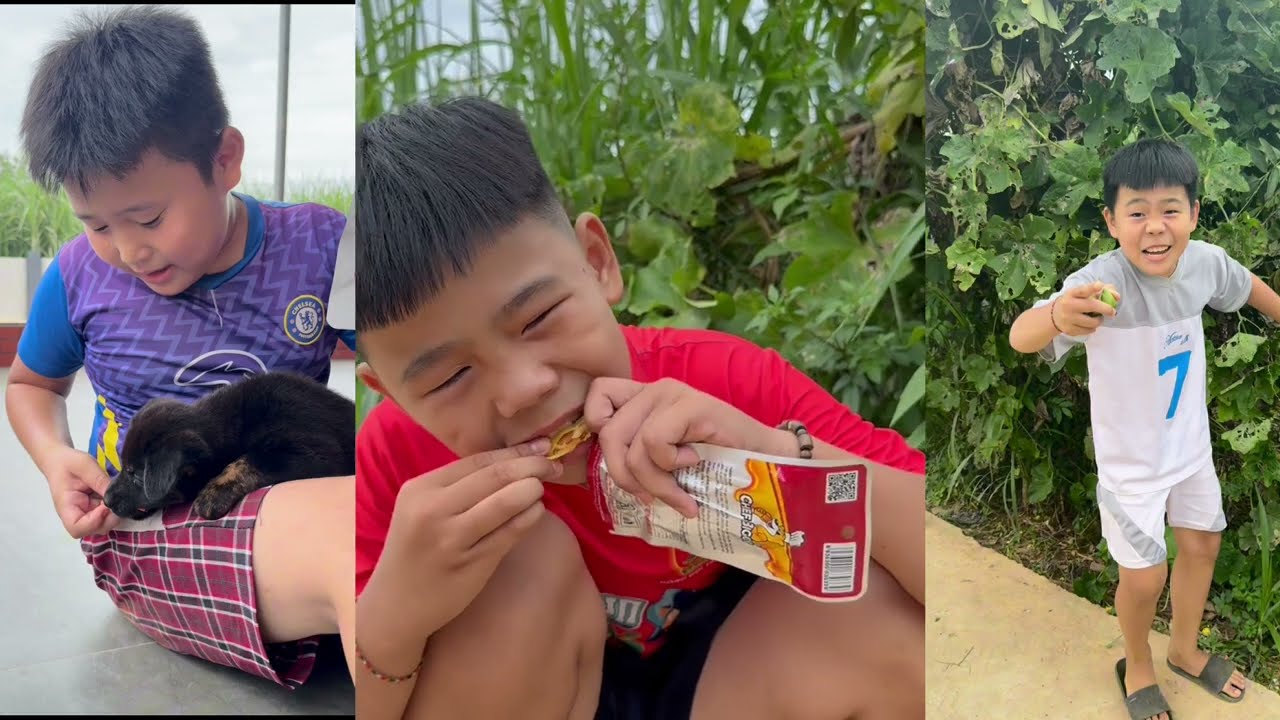 Tạp Ho&aacute; Anh Tippi Tập 41| &Aacute;o hồng b&aacute;o bạn - Tippi Vips