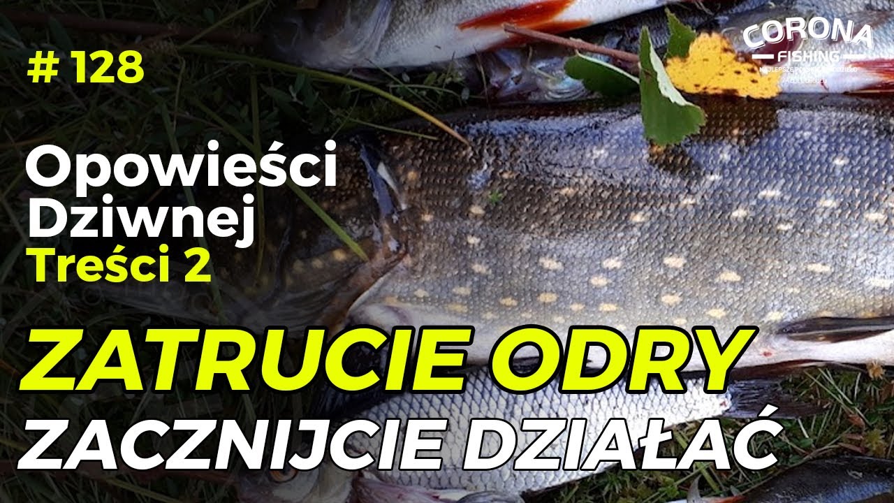 #128 Historie wędkarskie - ODT - Zatruta Odra - zacznijcie działać