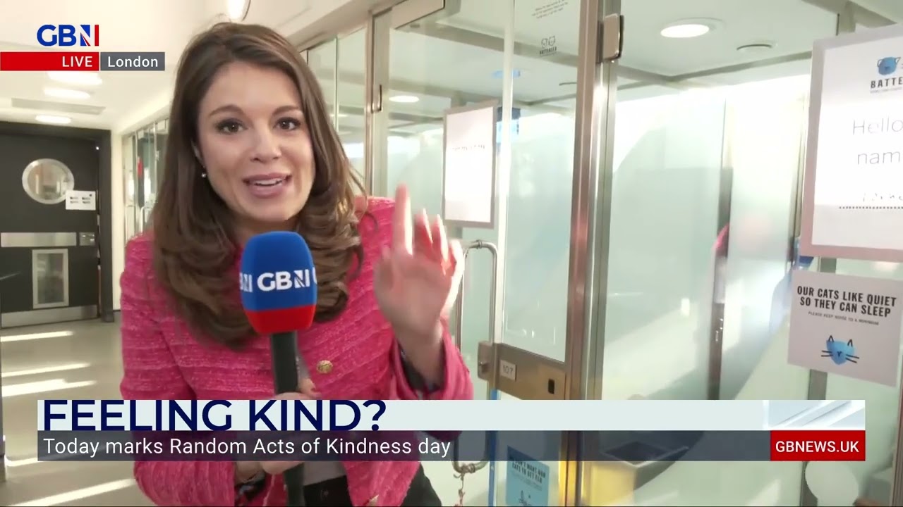 Battersea Dogs & Cats Home: Rosie Wright reports on how you can help on Random Acts of Kindness day