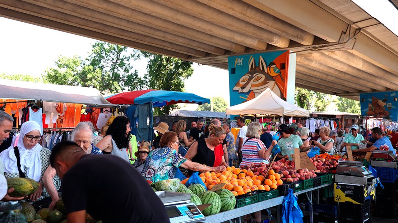 Els paradistes demanen a l’Ajuntament continuar durant tot l’any a l’emplaçament sota l’autopista