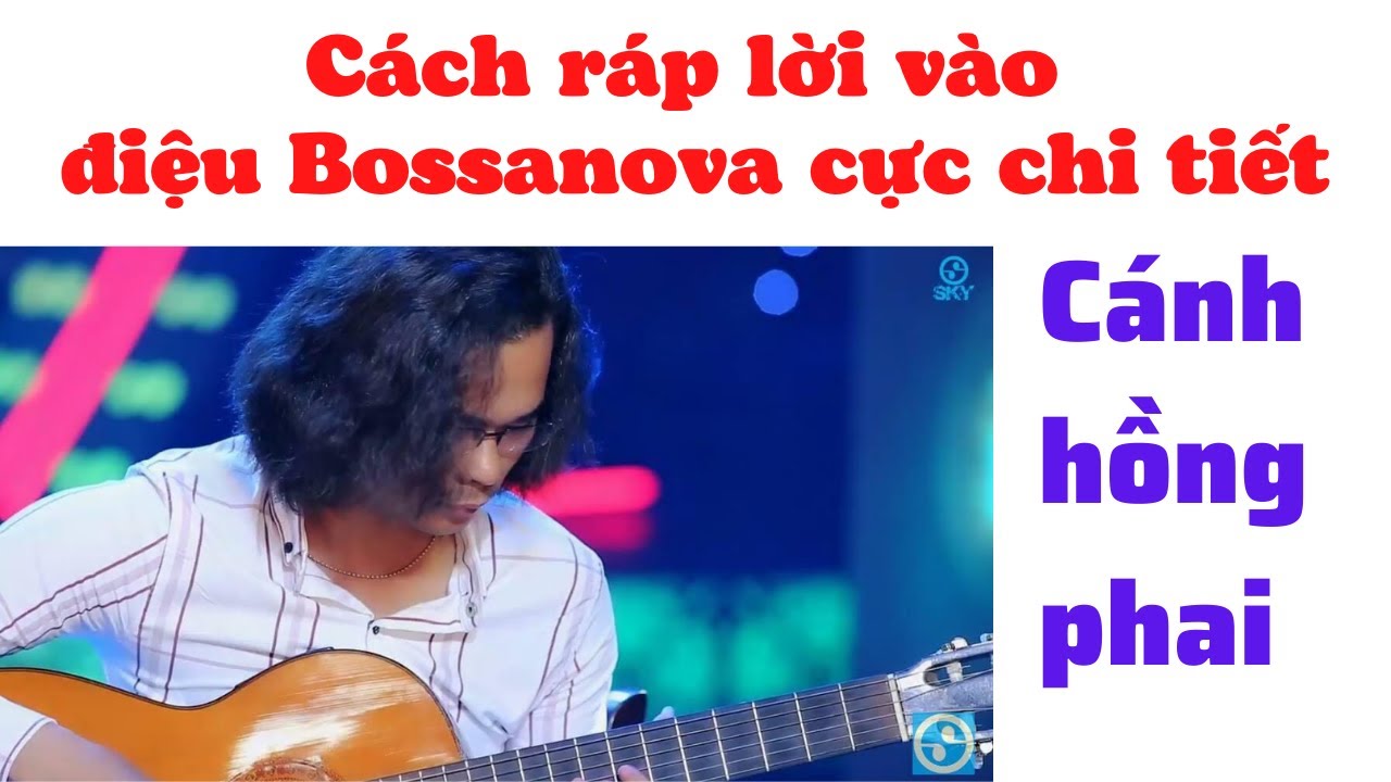 Hướng dẫn đệm hát Cánh Hồng Phai - Cách ráp lời điệu Bossanova cực dễ