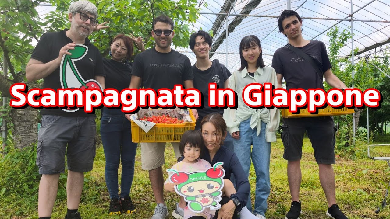 Scampagnata in Giappone (a raccogliere ciliegie) - Vivi Giappone