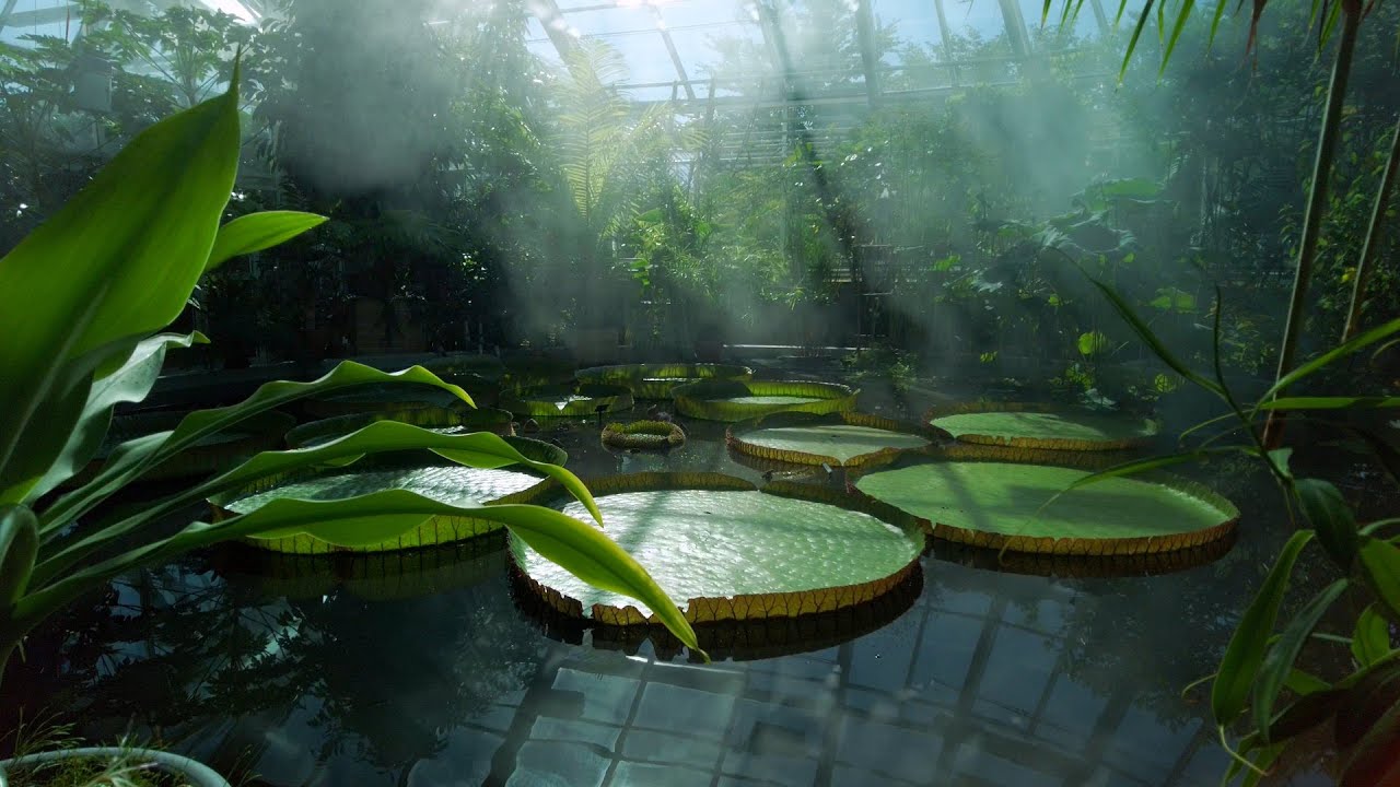 Uppsalas museer: Natur & miljö