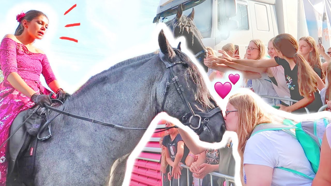 STOERE HENGST SMELT VOOR FANS | HORSE EVENT DAG 2