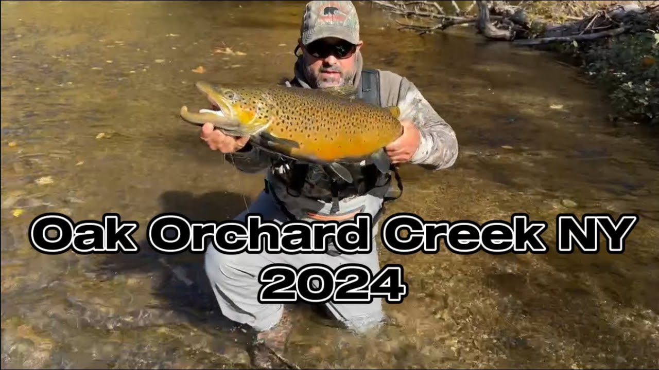Oak Orchard Creek  NY 2024