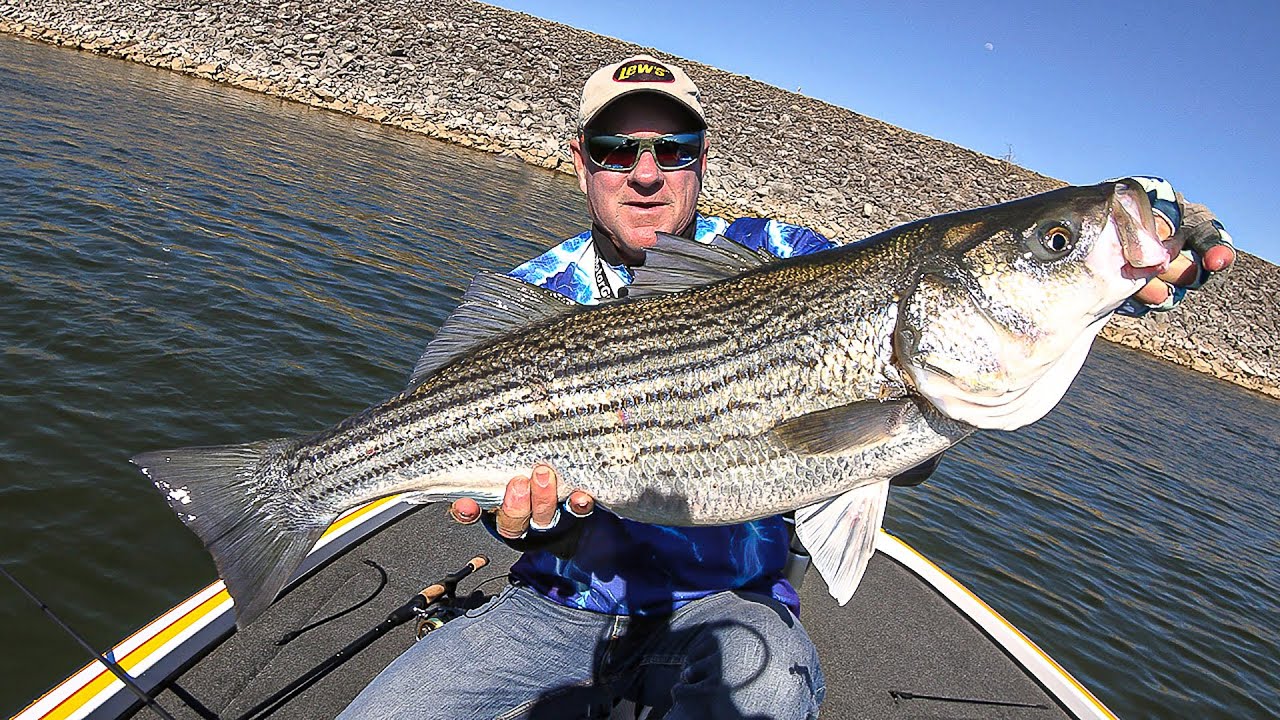 FOX Sports Outdoors SouthWEST #21 - 2019 Watts Bar Tennessee Striper Fishing