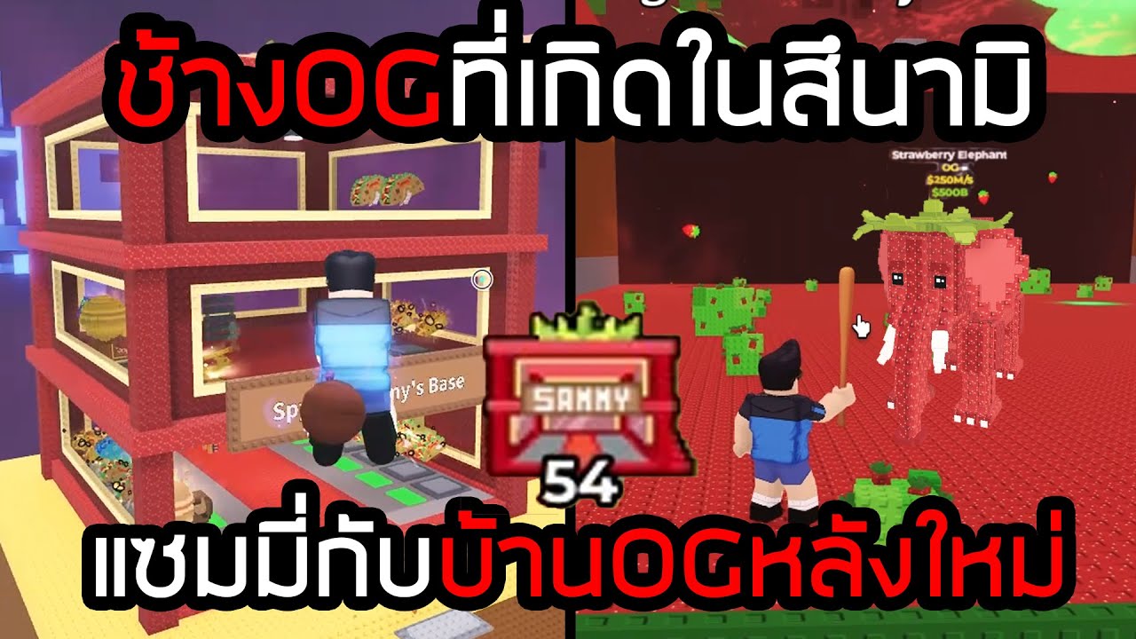 อัปเดตช้างOGในสึนามิ และบ้านOGแซมมี่ Steal a Brainrot!!