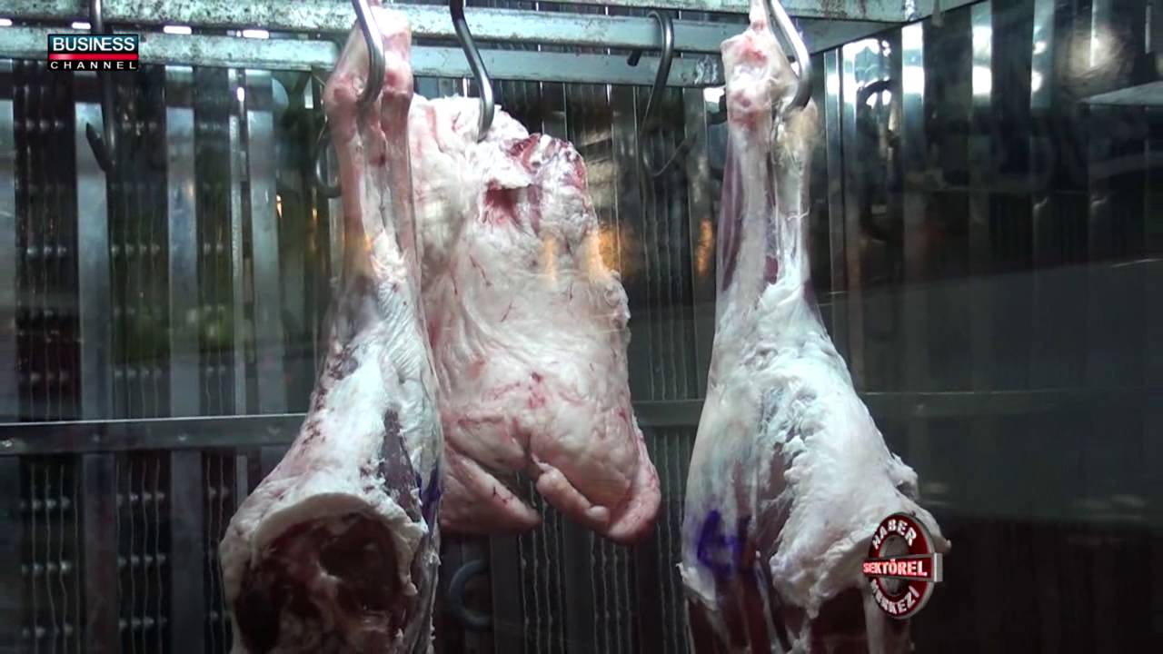 GAZİANTEP MERKEZ KASAP - KAYA ET PAZARI