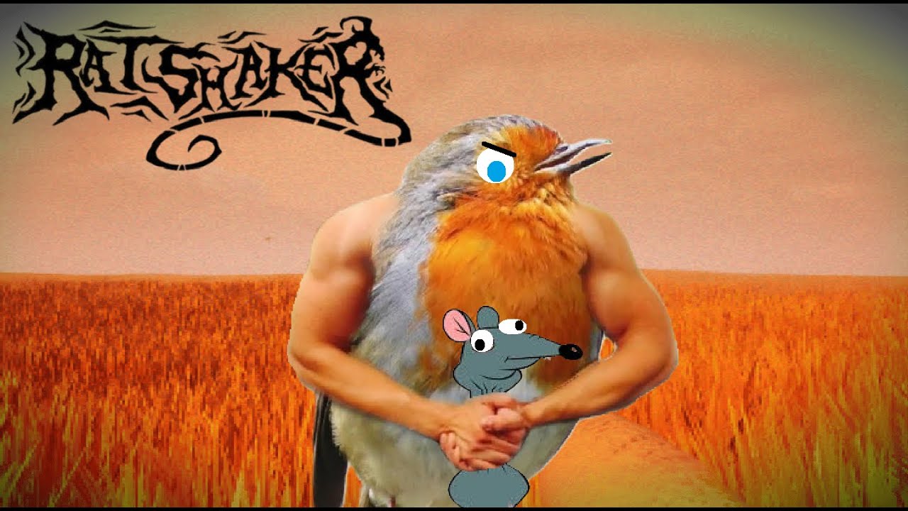 That's A Shook Rat - RATSHAKER