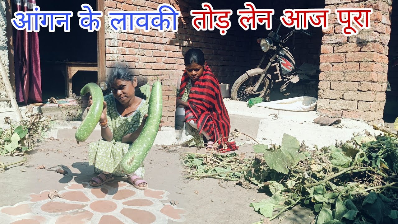 आज आंगन के लावकी तोड़ के साफ सफाई करेंन।