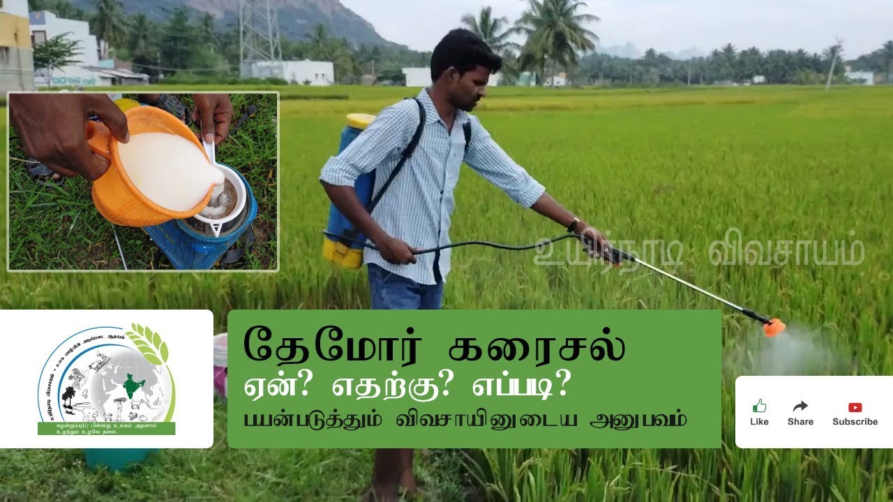 தேமோர் கரைசல் ஏன்? எதற்கு? எப்படி?