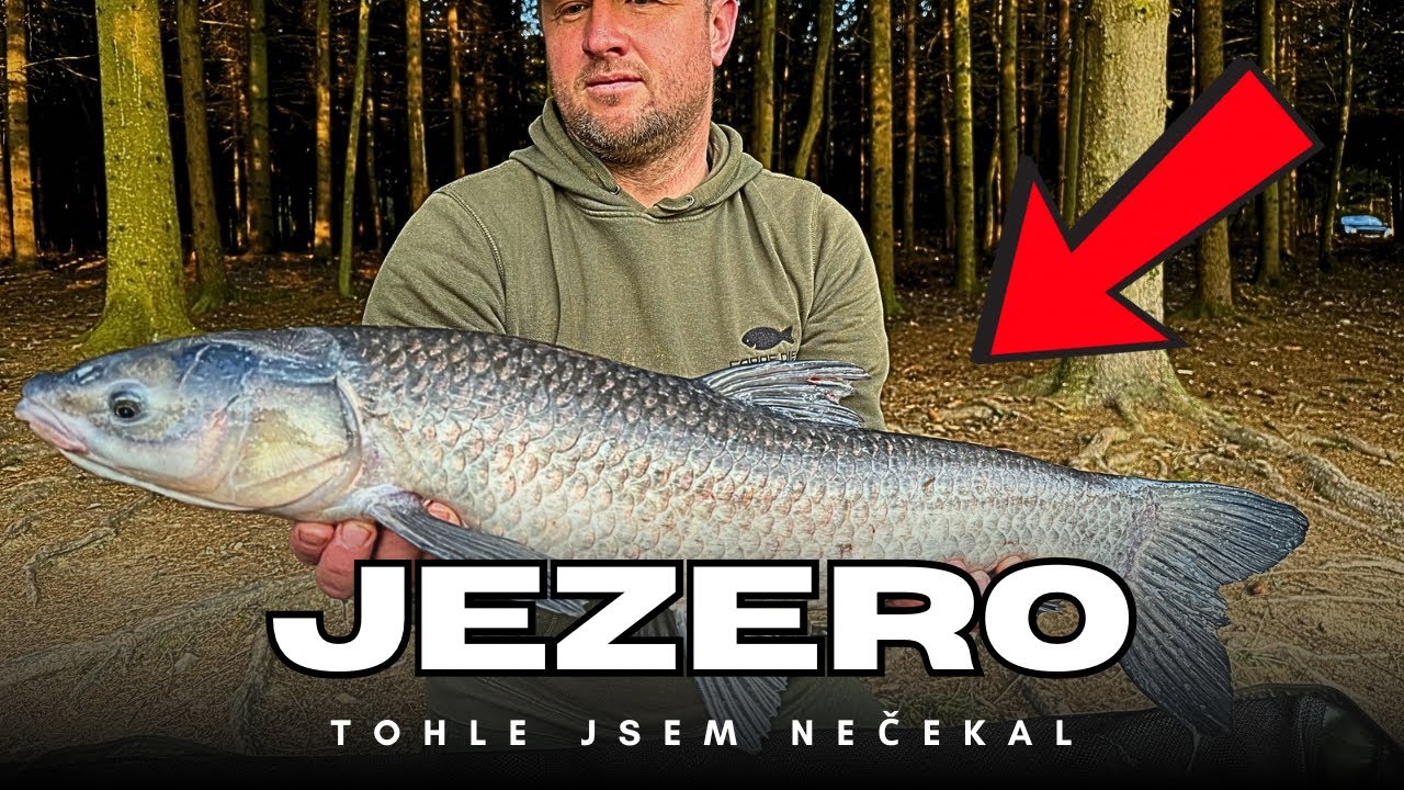 Jezero ??? První černý AMUR! Nečekaný úlovek na Příseckém jezeře 🎣 #rybárskevideá #carpediemfishing