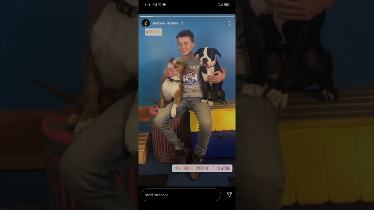 Max Jenkins is a Dog lover