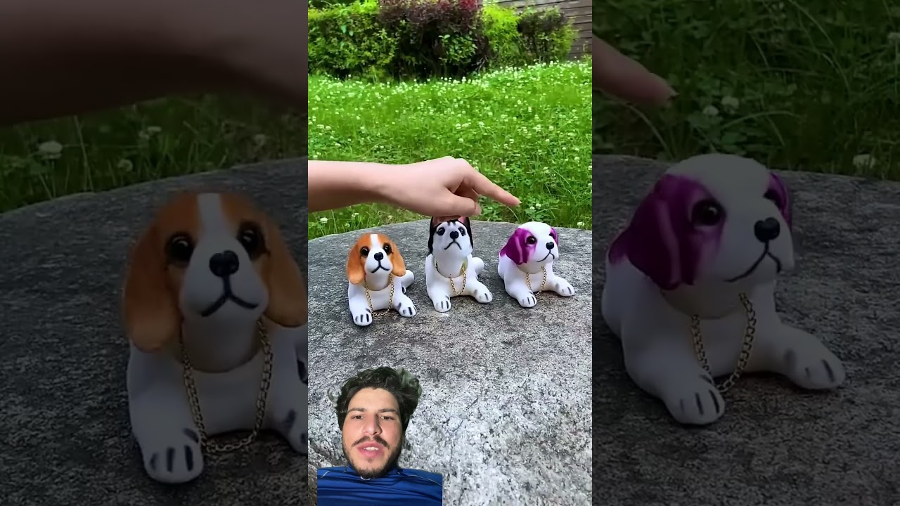 #danbyappliances #pets #aliexpresssmartgadgets #beagle #cutedog