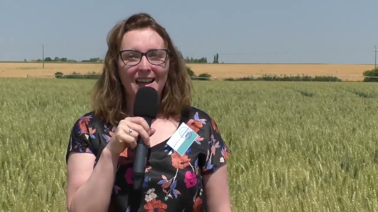 Les micro-organismes en agriculture sont-ils déjà incontournables ?