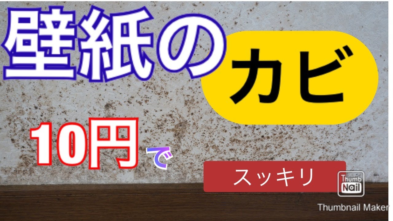 壁紙に繁殖したカビ　簡単に落とす方法
