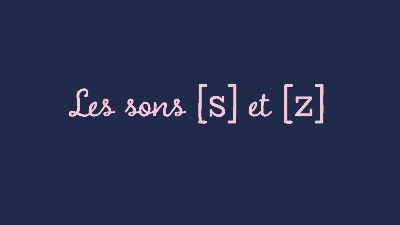 Dictée O6 : les sons [s] et [z]