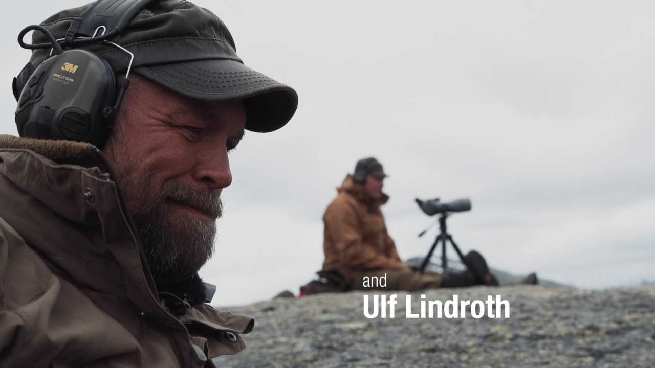 THLR featured in 