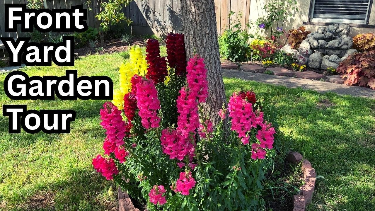 May Front Yard Garden Tour - Small Garden (Zone 9b)