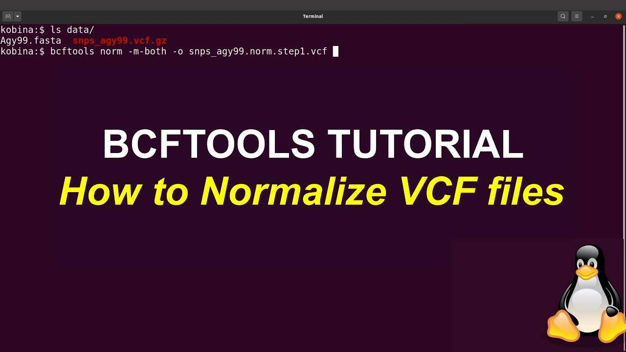 Bcftools tutorials | how normalize vcfs