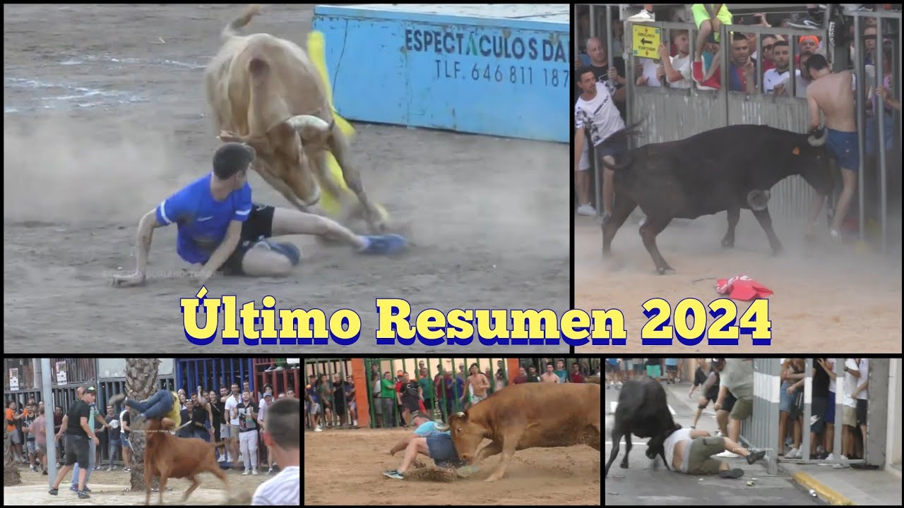 Tropiezos , Quites - El último Reportaje del año - Alquerías del Niño , Castellón, Denia y mas