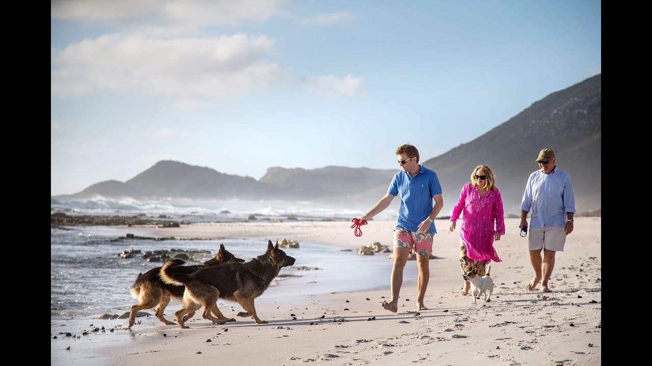 The Biden Family | A History of The Royal Portfolio