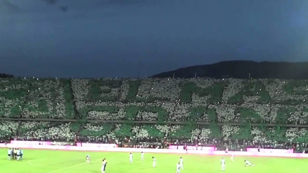 Copia de Tifo FInal Liga Aguila 2015- II Nacional Campeon. atletico Nacional 1 Junior 0.