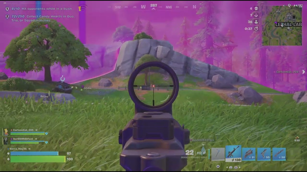 Fortnite_2nd w brohdi n pookieeee