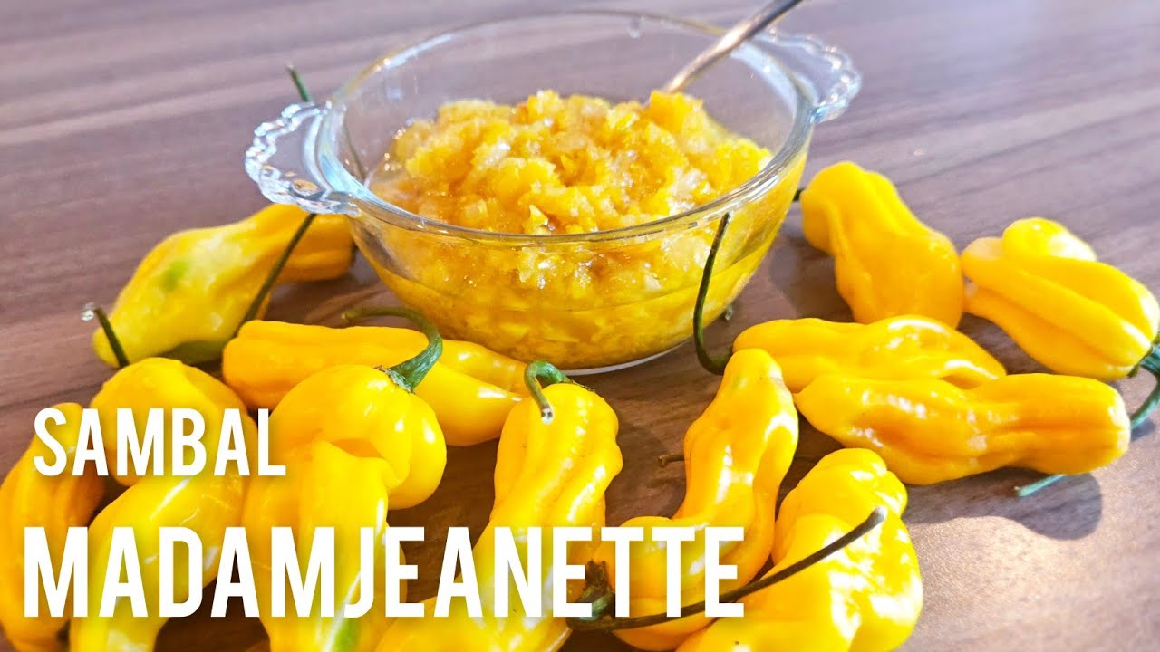 Surinaamse Sambal van Madamjeanette recept|Surinamese hot pepper sauce recipe|
