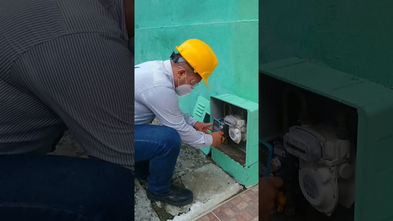 REVISIÓN PERIÓDICA DE GAS ALCANOS DE COLOMBIA