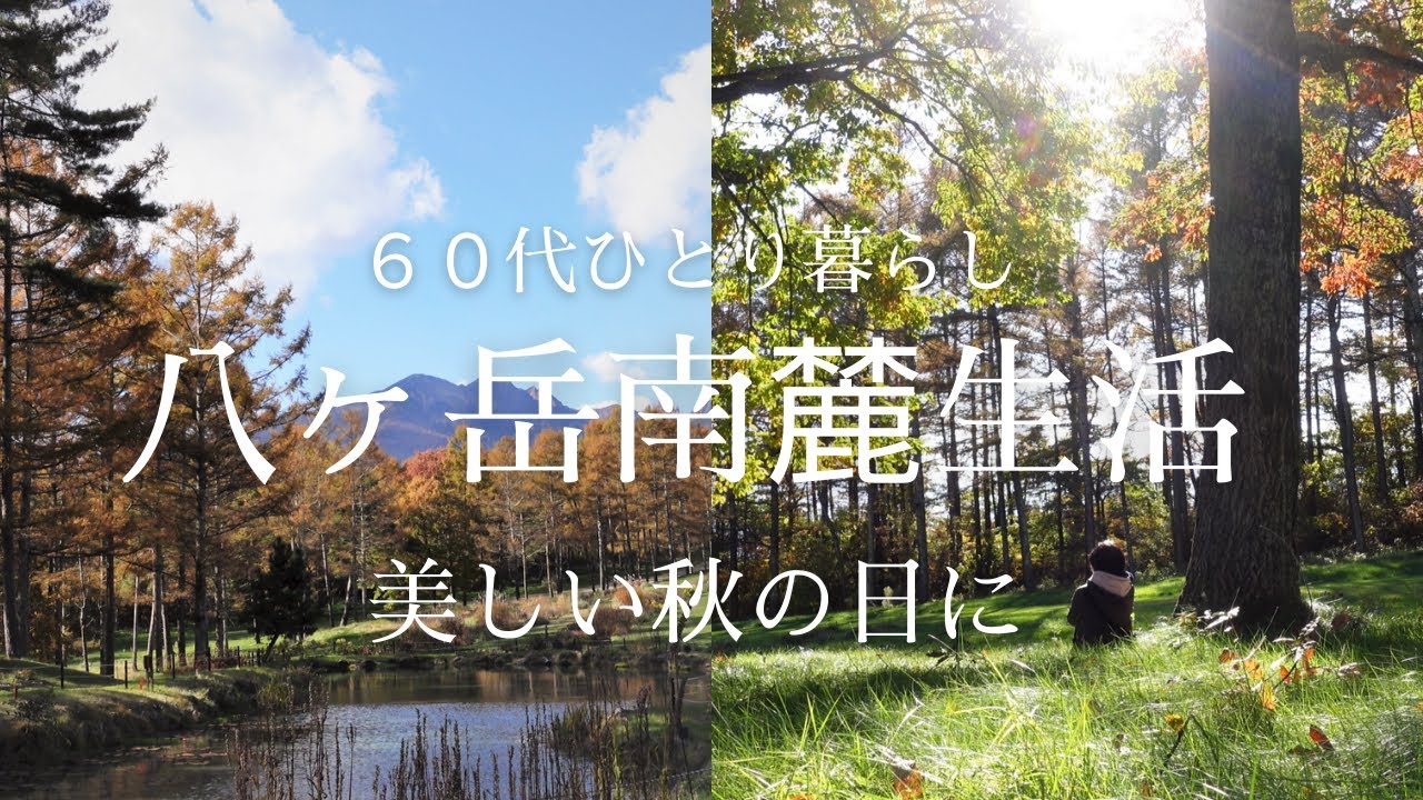 【八ヶ岳南麓６０代一人暮らし】#36 美しい秋の日に/清里・丘の公園／パン&ケーキ小屋EL-bethel/秋の井詰湧水／いつもの子猫たち/移住暮らし/田舎暮らし/シニアライフ