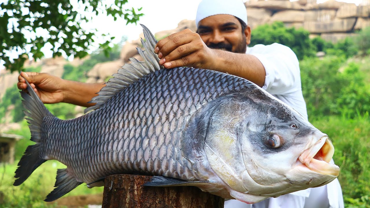 20 Kg Katla Fish Cooking|| Biggest Fish | BigFish curry 🍛 😋 || River Fish 🍛 curry