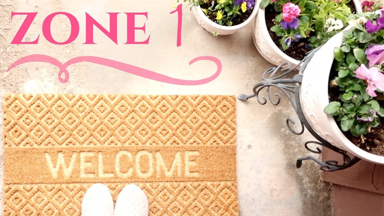 ZONE 1, ENTRY CLEANING | FLY WITH GRACE | FLYLADY SYSTEM