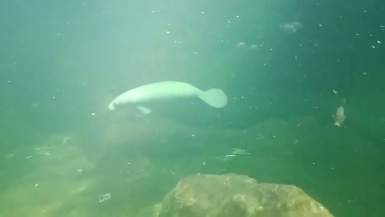 10:50:41 18 czerwca 2022 roku w Wrocławskim zooparku. 