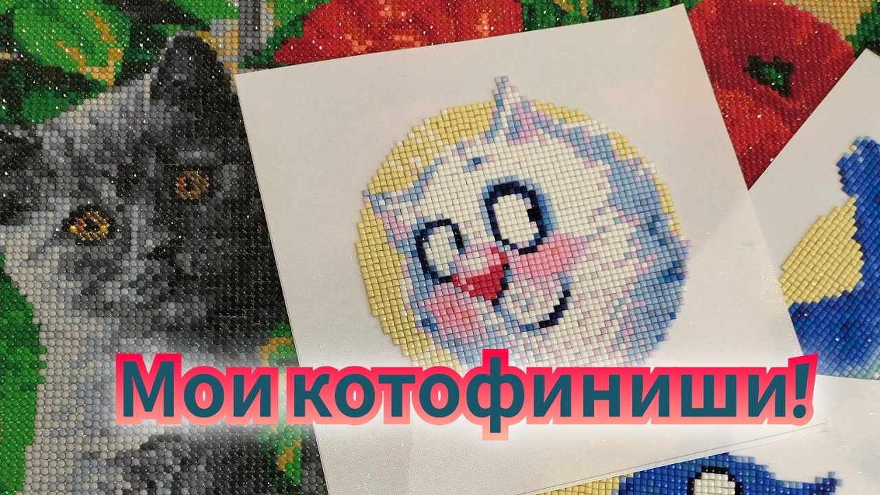 Мои котофиниши!