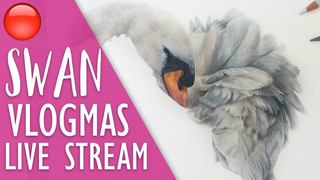🔴 Let's Draw a SWAN | Coloured Pencil Live Stream | Vlogmas