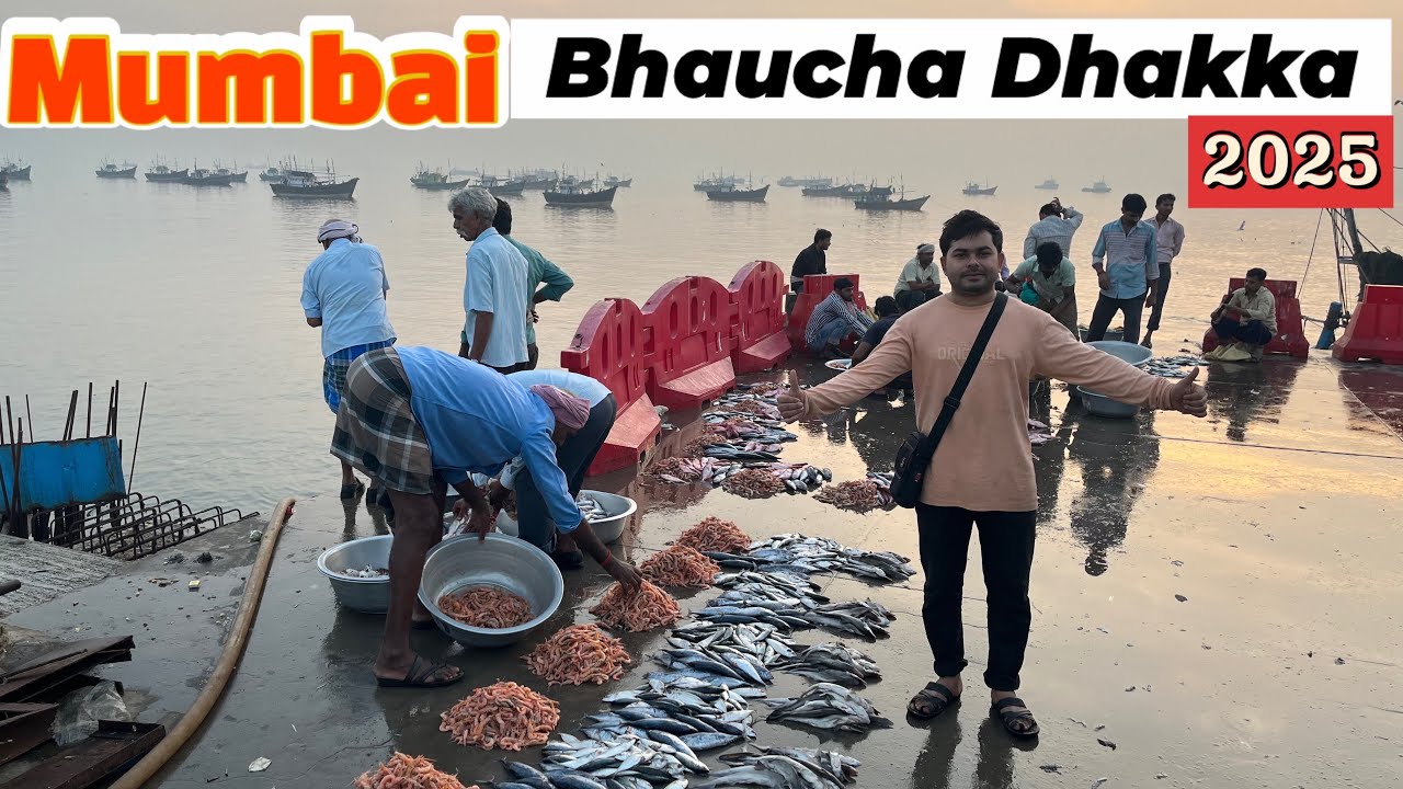 Bhaucha dhakka fish market Mumbai 2025// biggest fish market in Mumbai