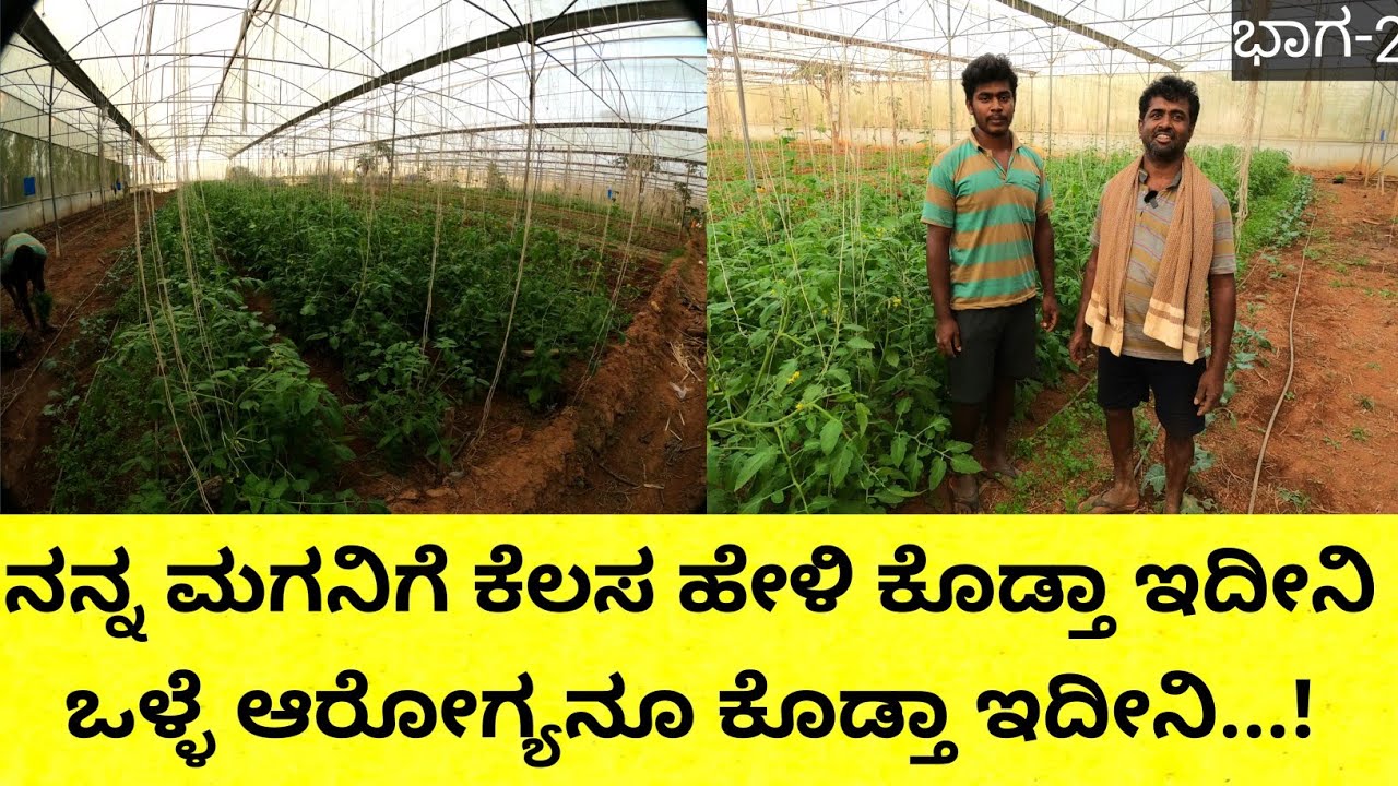 ಭೂಮಿಯಲ್ಲಿ ದಿನ ಕೆಲಸ ಇರಬೇಕು ನಿಮಗೆ ಅವಾಗ ಏನಾಗ್ತಿದೆ ಅಂತ ಗೊತ್ತಾಗುತ್ತೆ...ತೋಟ ಮಾಡಿ ಯಾವಾಗಲೋ ಒಂದೊಂದು ಸಲ ಬಂದ್ರೆ