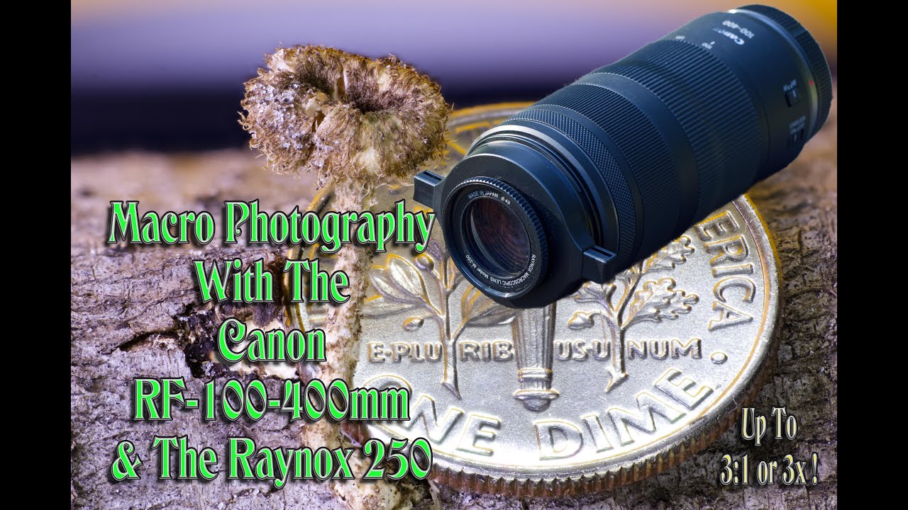 Can You Shoot Macro With The Canon RF 100-400mm & The Raynox 250?