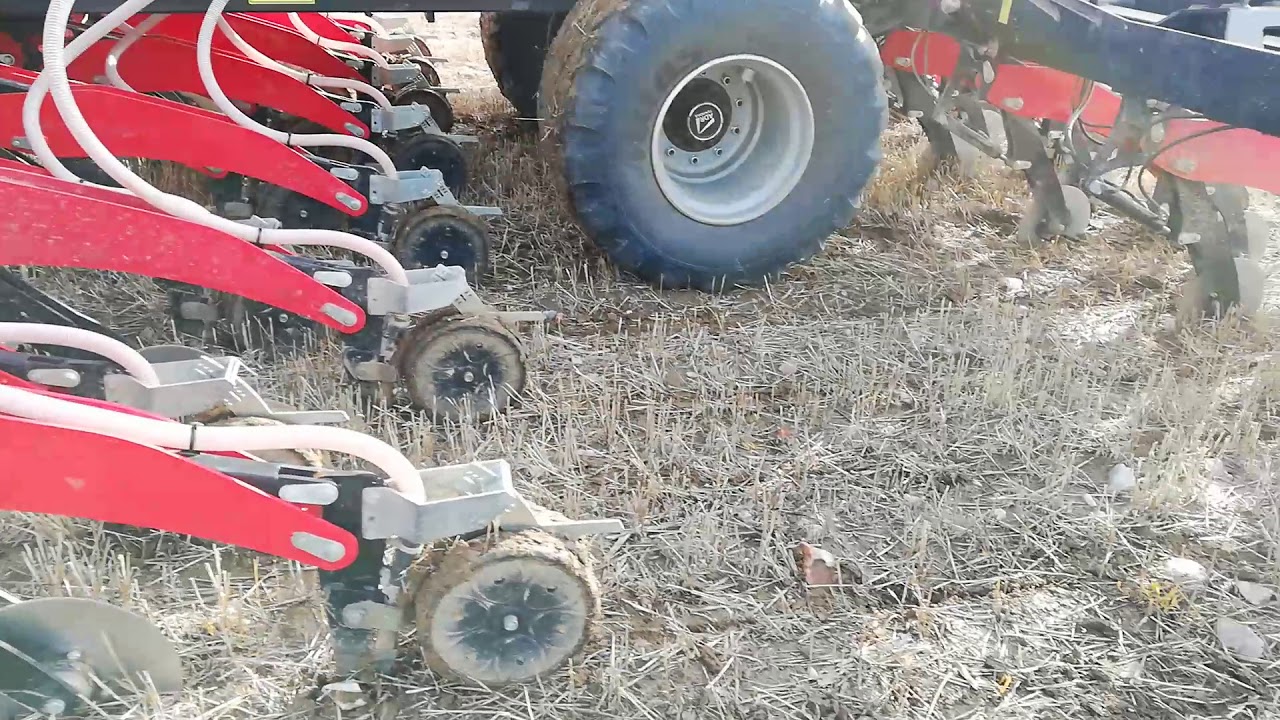 Siembra directa virkar ocean en ortigosa de Pesta&ntilde;o