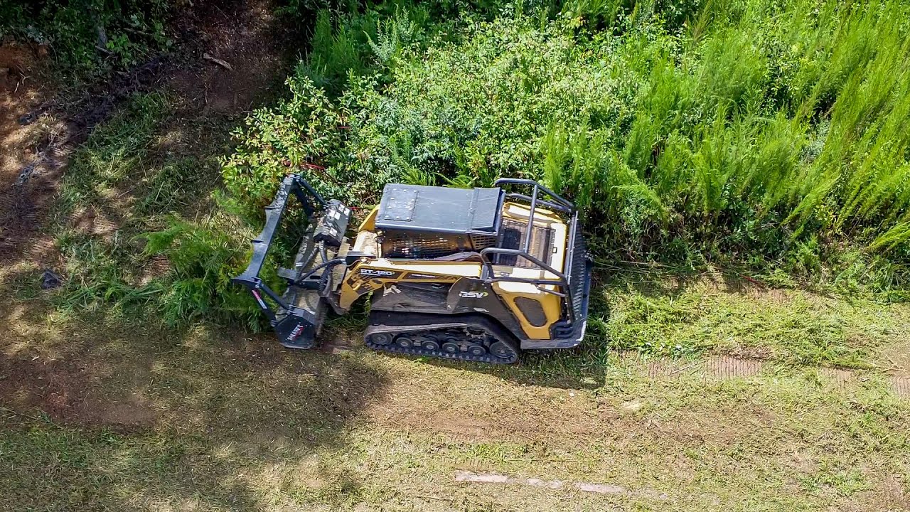 Cutting Grass and Small Trees with the Shearex