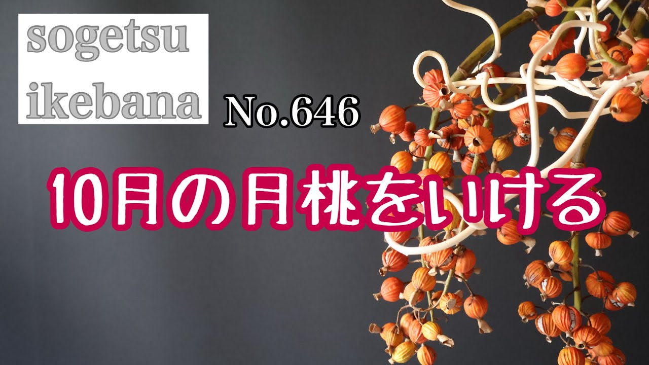 10月の月桃をいける　No.646